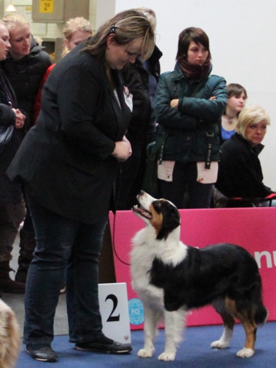 saussurea true love v2 res.cac 8. 12. 2012 9.jpg